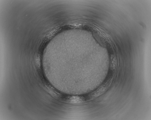 X0000115390562200912151502