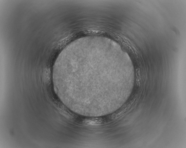 X0000115390563200912151502