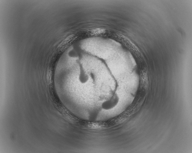 X0000115390565200912151502