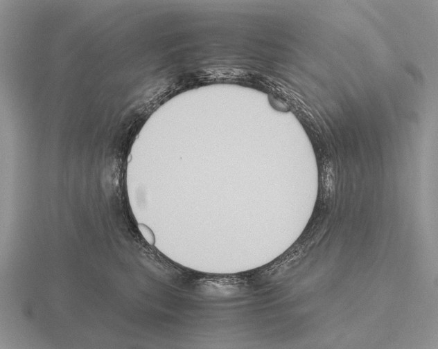 X0000115390567200912151502