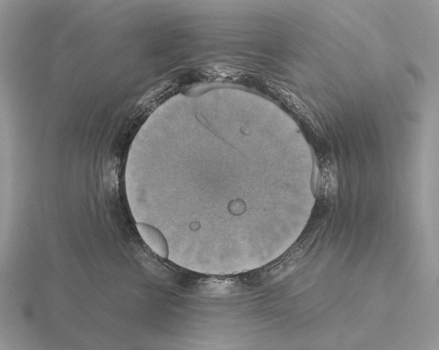 X0000115390570200912151502