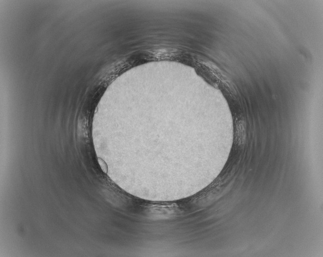 X0000115390571200912151502