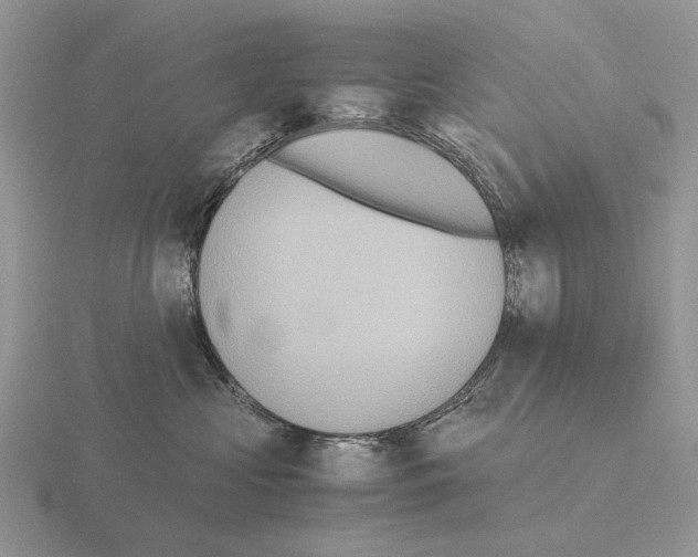 X0000115390573200912151502