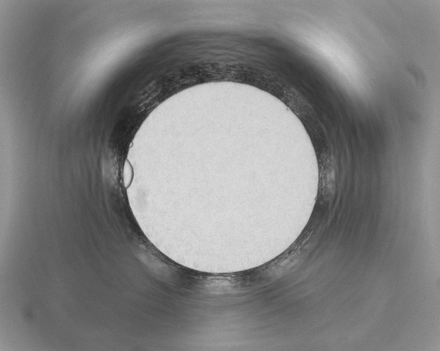 X0000115390574200912151502