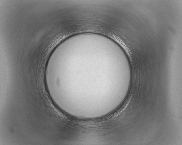 X0000115390577200912151501