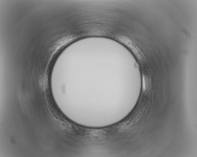 X0000115390579200912151501