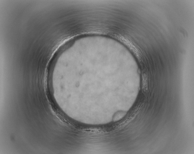 X0000115390580200912151501