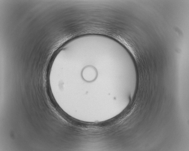 X0000115390581200912151501