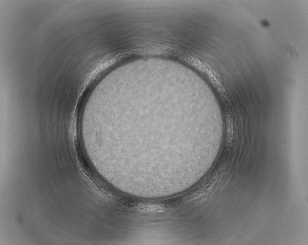 X0000115390582200912151501