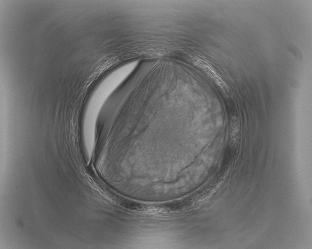 X0000115390585200912151501