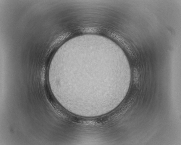 X0000115390586200912151501