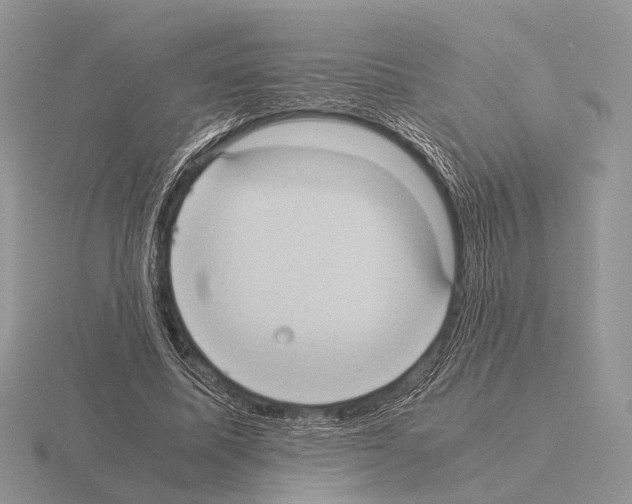 X0000115390587200912151501