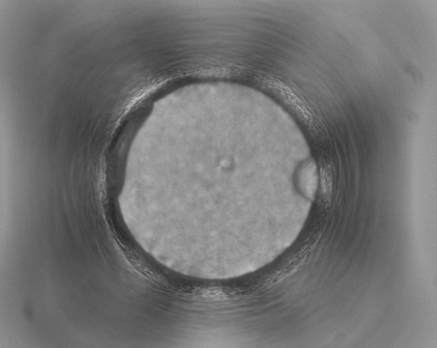 X0000115390588200912151501