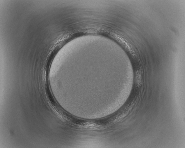 X0000115390589200912151501