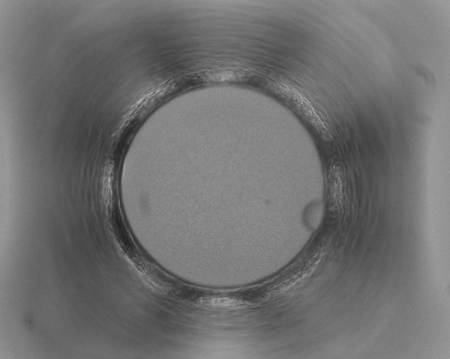 X0000115390590200912151501