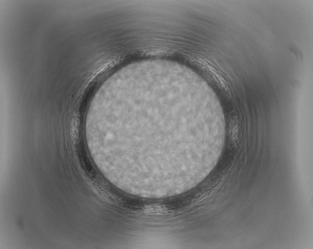 X0000115390591200912151501