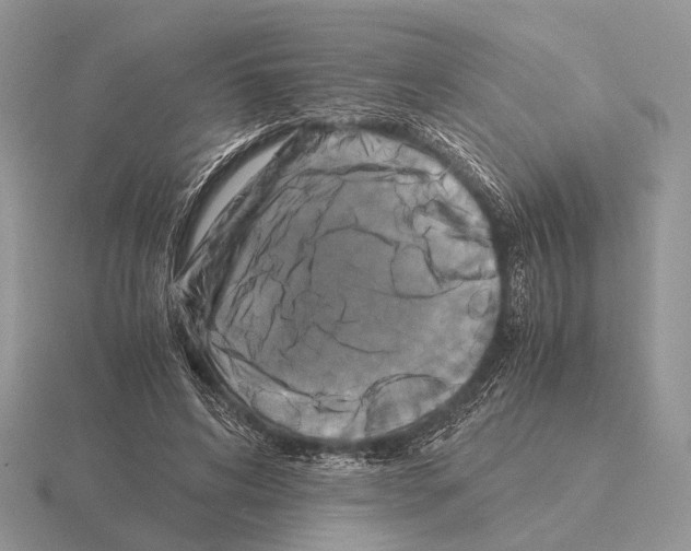 X0000115390592200912151501