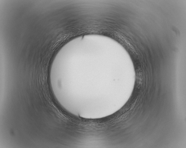 X0000115390593200912151501