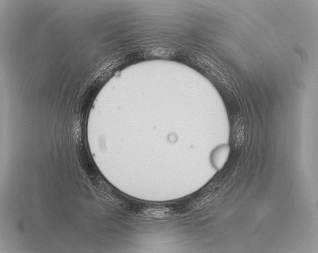 X0000115390595200912151501