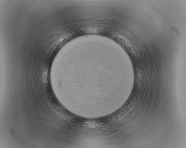 X0000115390596200912151501