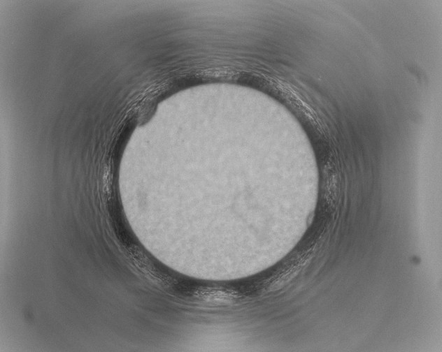 X0000115390597200912151501