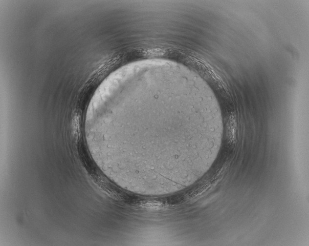 X0000115390598200912151501