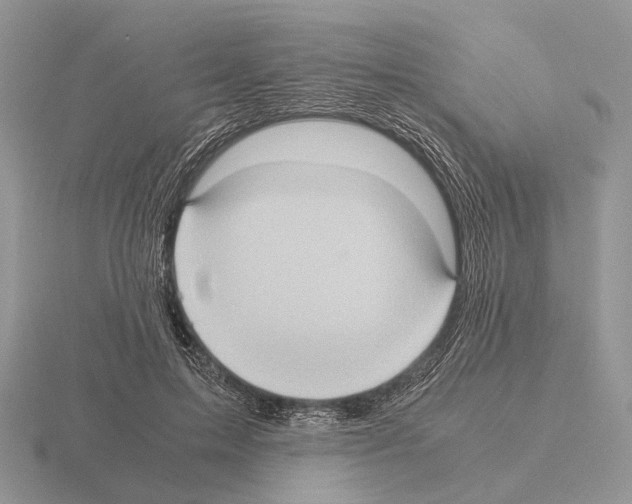 X0000115390599200912151501