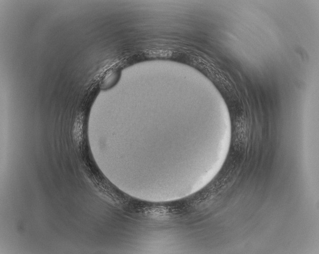 X0000115390600200912151501