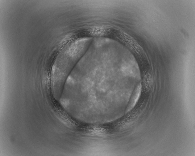 X0000115390601200912151501