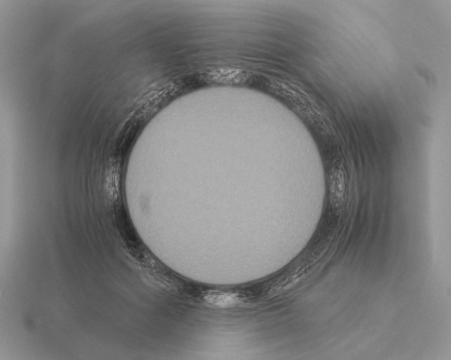 X0000115390602200912151501