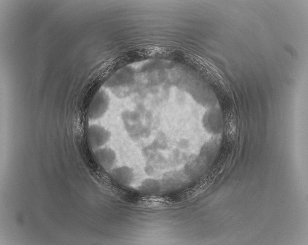 X0000115390607200912151501