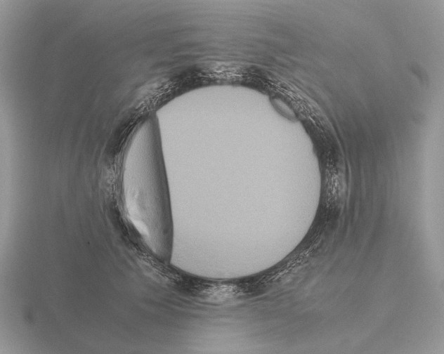 X0000115390609200912151501