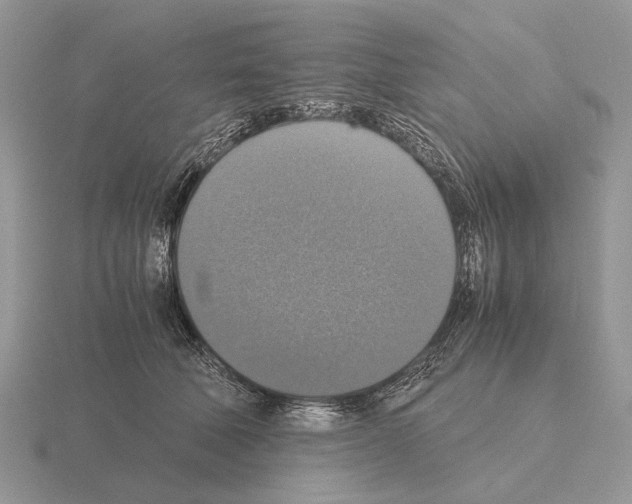 X0000115390610200912151501