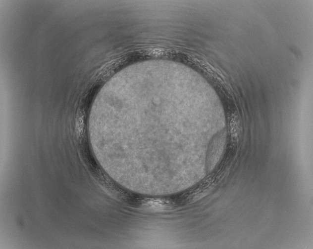 X0000115390611200912151501