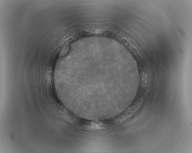 X0000115390612200912151501