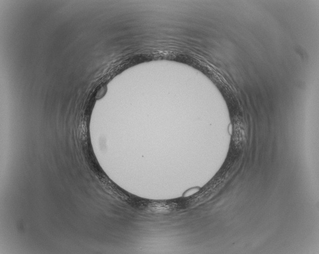 X0000115390613200912151501