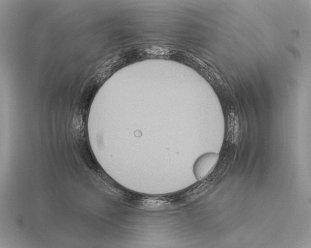 X0000115390614200912151501