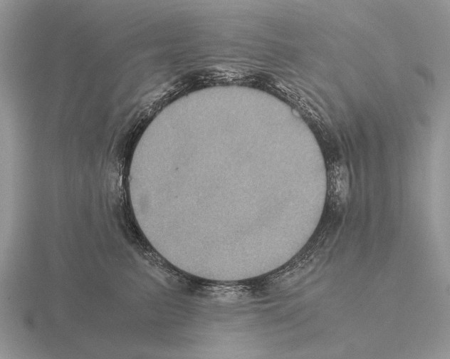 X0000115390615200912151501