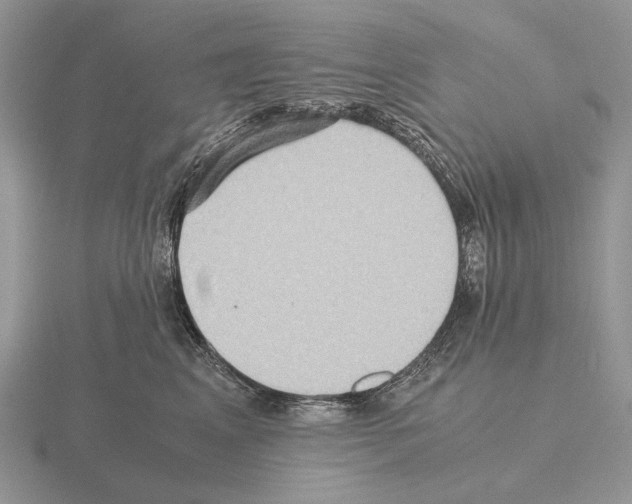 X0000115390617200912151501