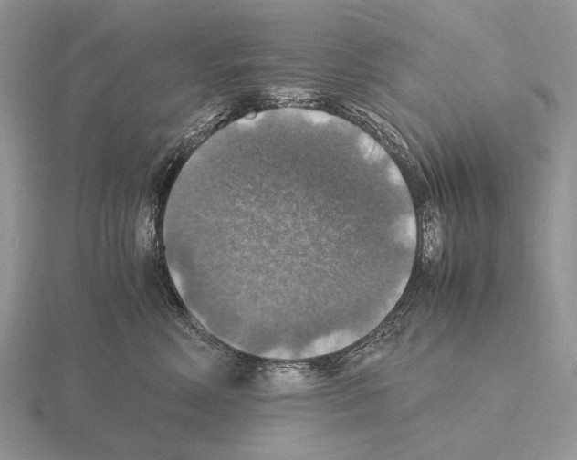 X0000115390618200912151501