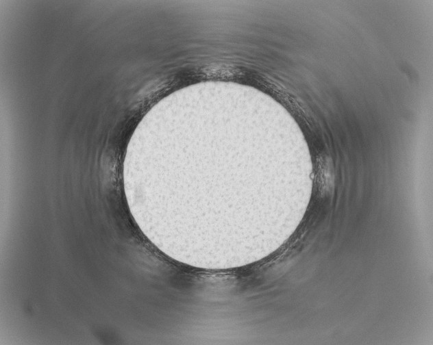 X0000115390619200912151501