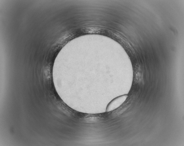 X0000115390620200912151501