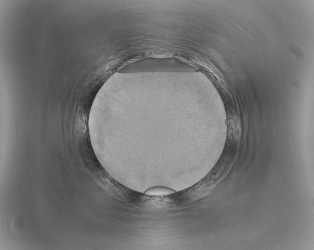 X0000115390621200912151501