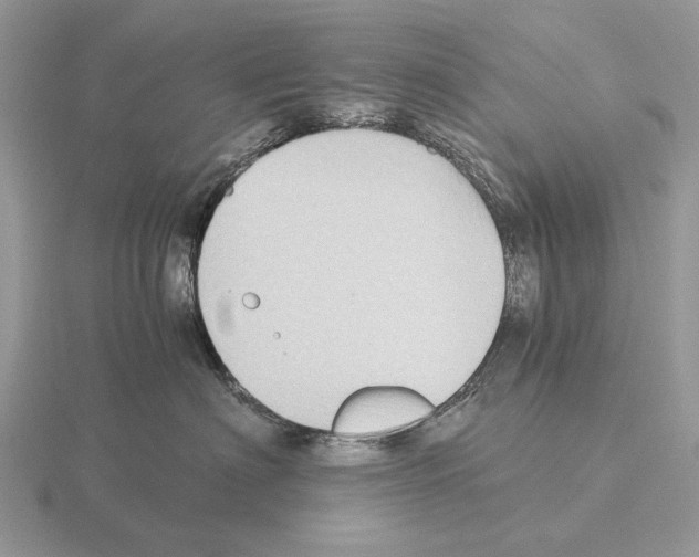 X0000115390622200912151501