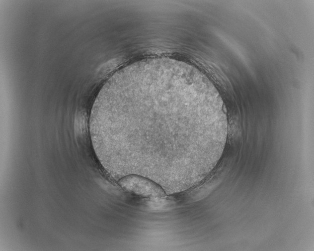 X0000115390623200912151501