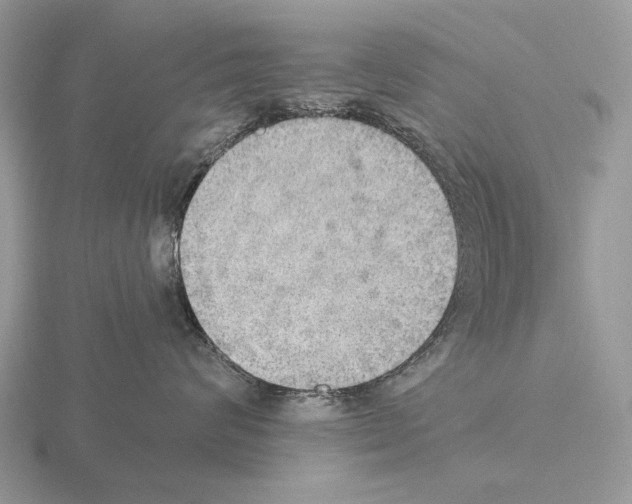 X0000115390624200912151501