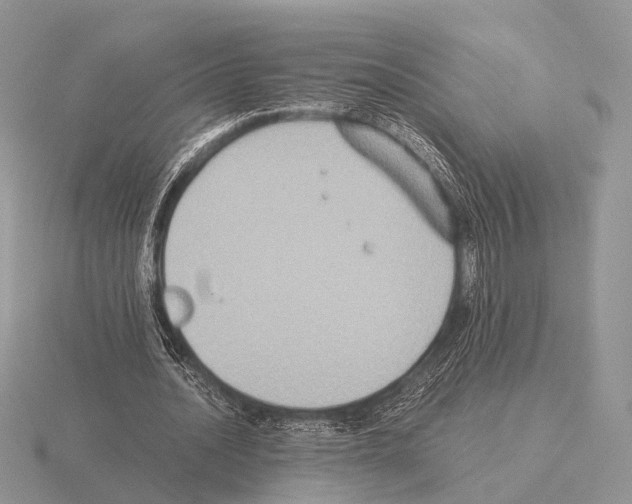 X0000115390628200912151500