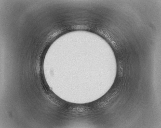 X0000115390631200912151500