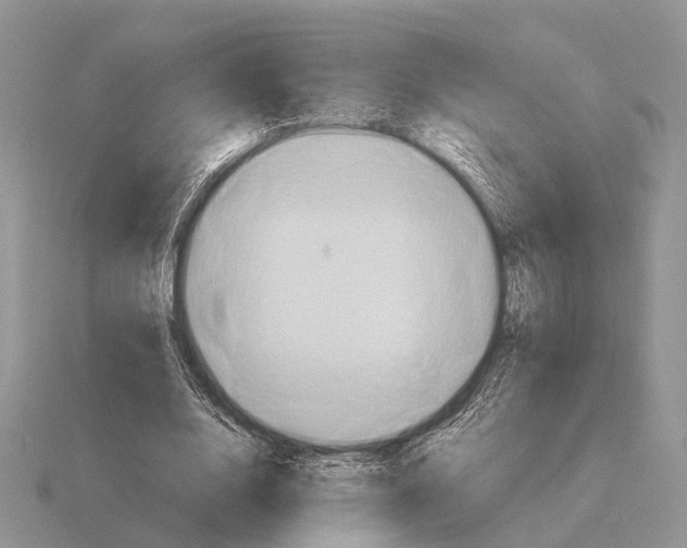 X0000115390632200912151500