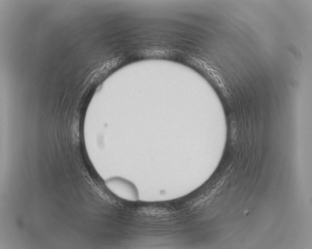 X0000115390633200912151500